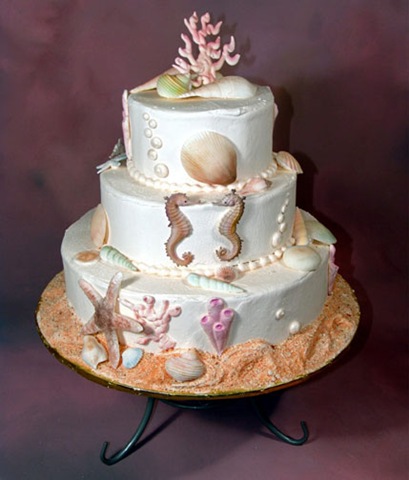[9626_OceansofSeashells2.jpg]