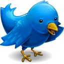 Logo twitter, pajaro twitter