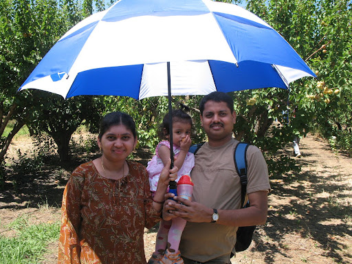 The Apricot Farm