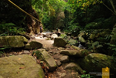 The Path to Mambukal's Waterfalls