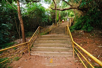Neverending Steps to Mount Tapyas
