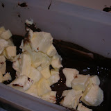 DSCN3051.JPG
