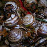 DSCN3071.JPG