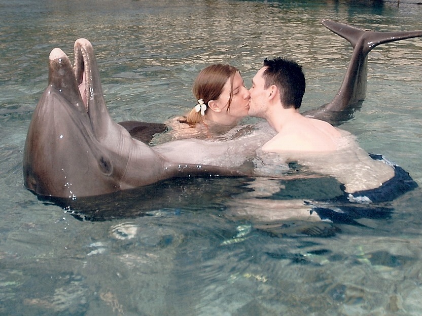 rencontre dauphin moorea
