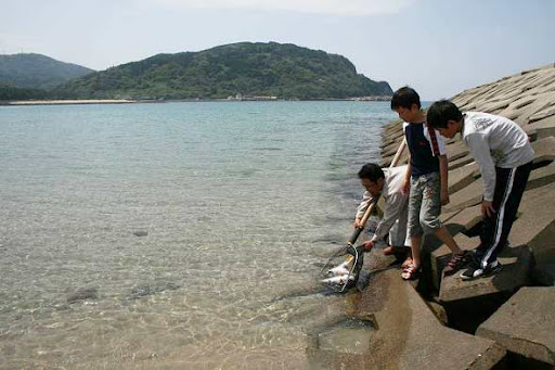 魚籃観音大祭3