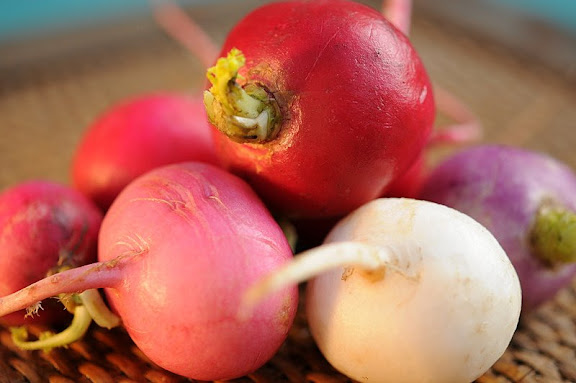 Easter Egg Radishes