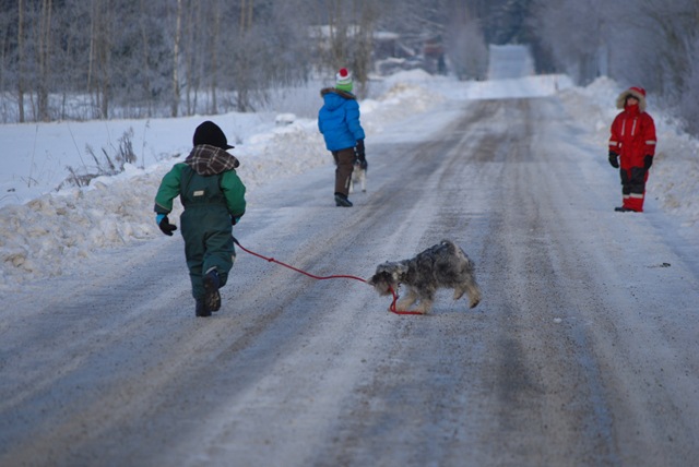 [DSC_6538[3].jpg]