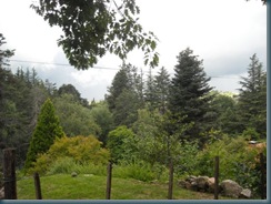 cumbresita