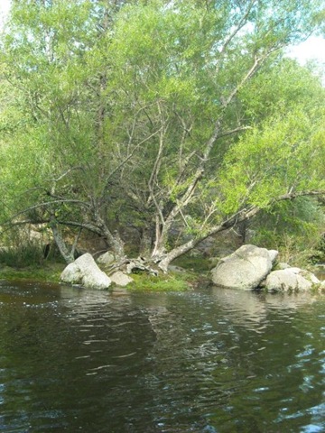 [lago las truchas cumbresita.jpg]