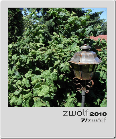 7-zwoelf2010-polaroid