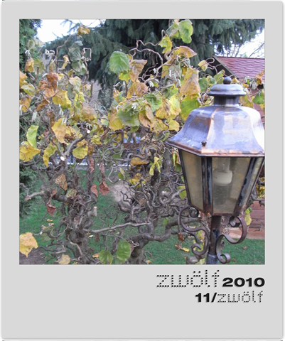 [11-zwoelf2010-polaroid[6].png]