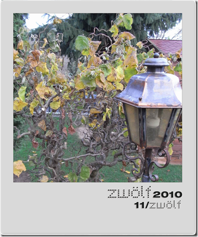 11-zwoelf2010-polaroid