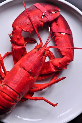 [FOOD (1 of 1)[3].jpg]
