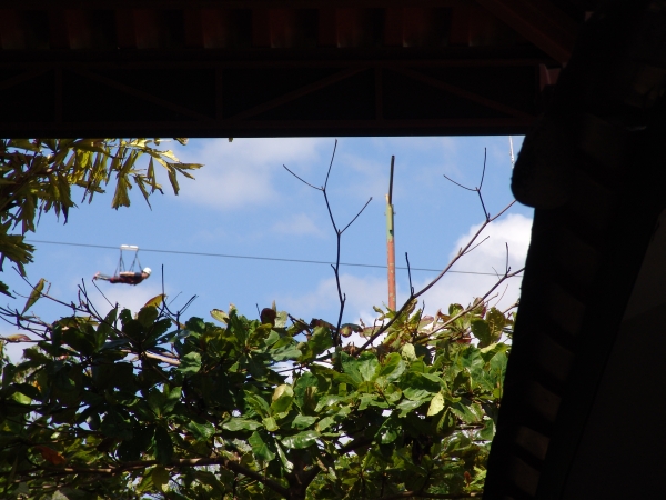 Costa Rica Daily Photo – Superman Zip-line in Turu Ba Ri Costa Rica Daily Photo – Superman Zip-line in Turu Ba Ri