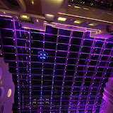 IMG_3784.jpg