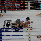 IMG_7184.JPG