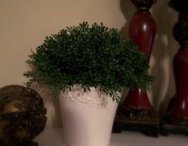[ballard topiary 3[8].jpg]