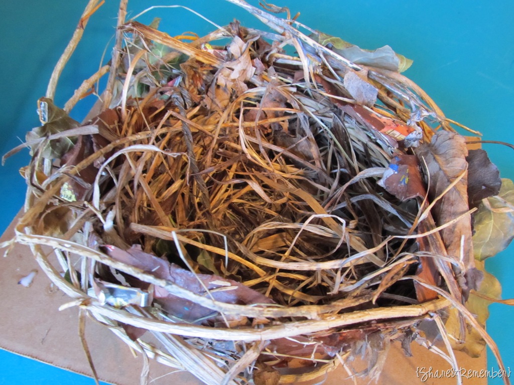 [nest7[3].jpg]