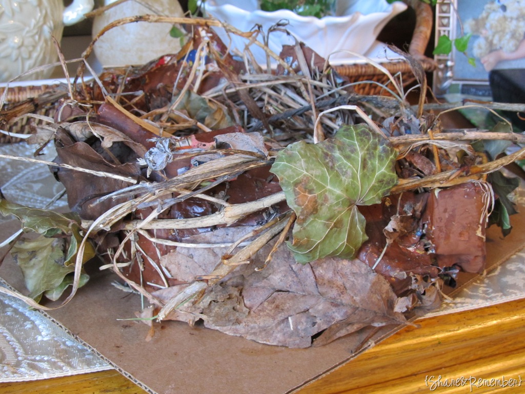 [nest2[7].jpg]