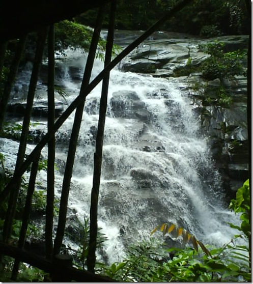 DSC03880