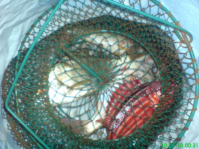 lh6.ggpht.com/_t3sm1lbLYsU/S0nq8YxfsjI/AAAAAAAAAPY/ziadRQPZv5Q/s640/dsc01933j.jpg