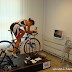 Display Gallery