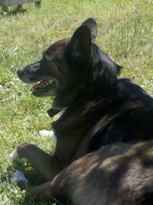 2010-07-15 13.27.26.jpg