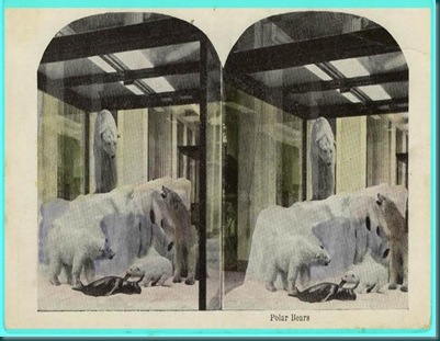 Museum Chicago POST