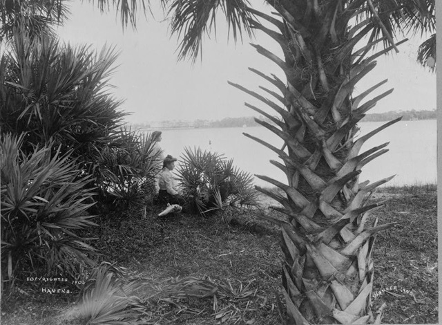 [TropicalWonderland5.jpg]
