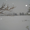 dsc07578.jpg