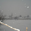 dsc07579.jpg
