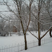 dsc07618.jpg