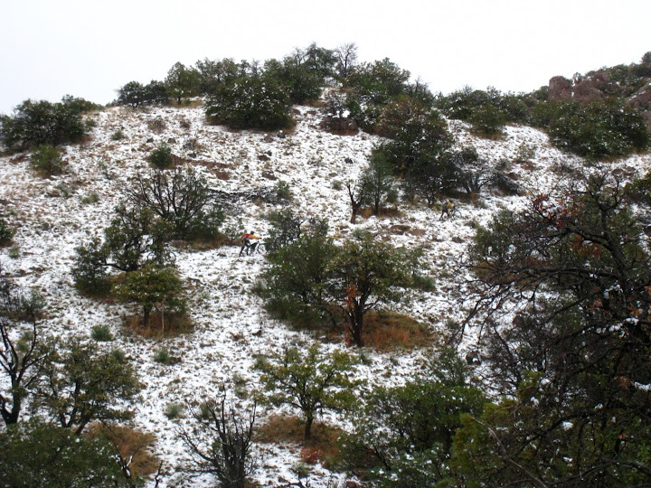Snow in the Canelos