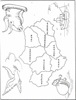 MI- Capitales andaluzas MI- Capitales andaluzas