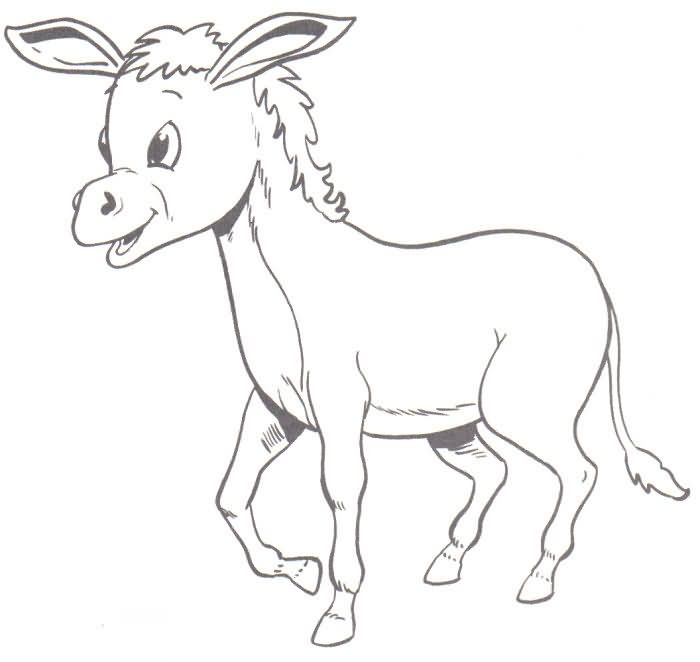 [burro[2].jpg]