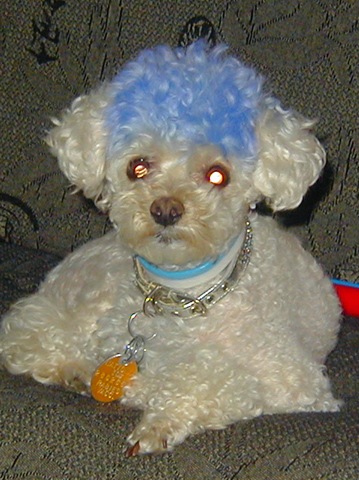 [P8140051[15].jpg]