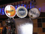 IMG_4613 (Large).JPG