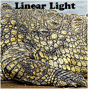 Linear Light