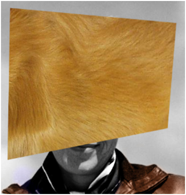 Transform Hair