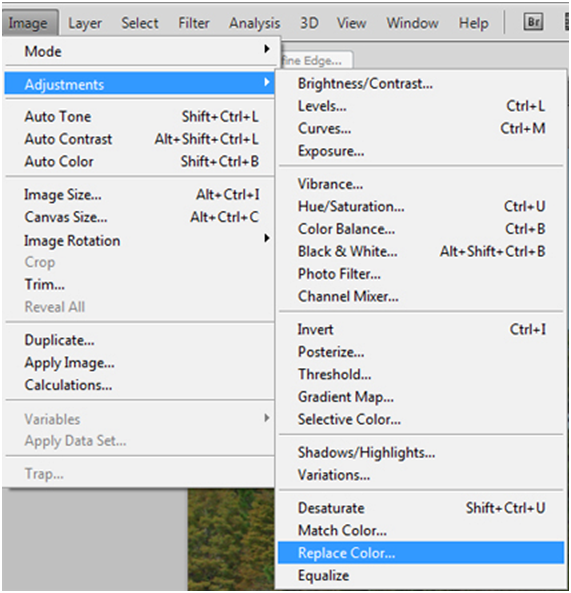 Replace Color Adjustment Menu