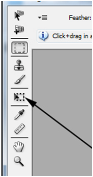 Transform Tool Resize