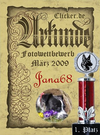 clickerurkunde_mar09.jpg