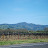 DSC_0211.JPG