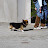 DSC_0070.JPG