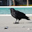 DSC_0157.JPG