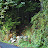 DSC_0197.jpg