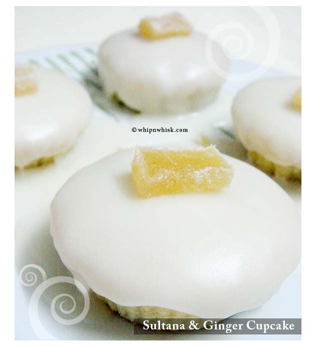 Sultana & Ginger Cupcake