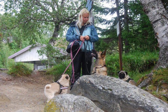 Sommar 2010 Sommar 2010