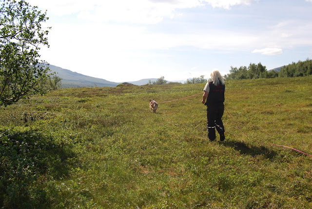 Sommar 2010 Sommar 2010