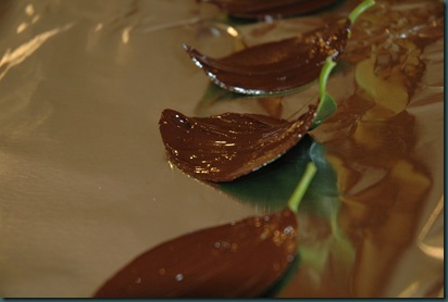chocolate leaves 215